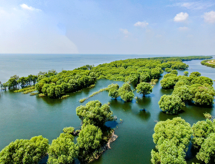 張家界跟團(tuán)游,張家界旅游攻略5天自由行,張家界自駕游,張家界旅游路線攻略,張家界中國國際旅行社